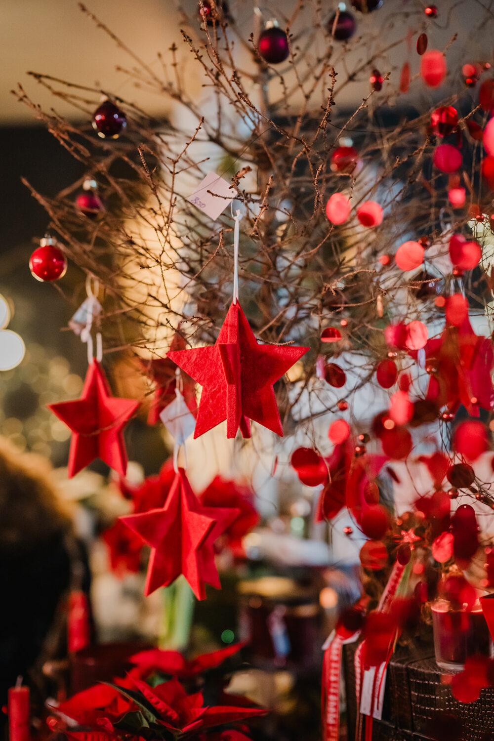 Bild von roter Weihnachts-Filz-Deko an getrockneten Zweigen